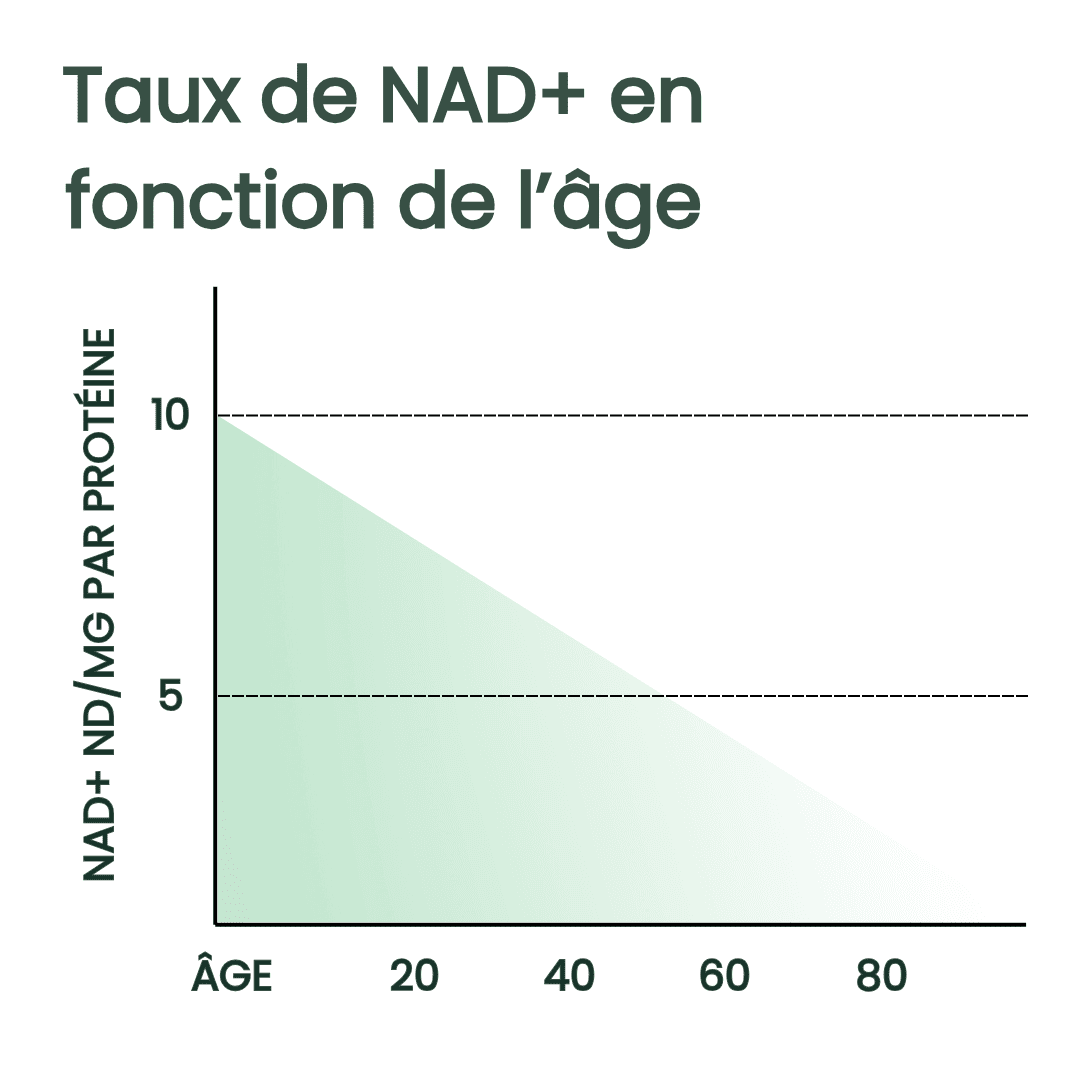 Novelle® Formule NAD+